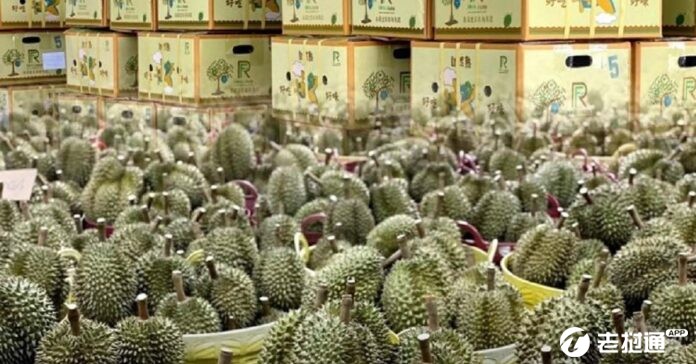 Thai-durian-arrives-in-China-696x364.jpg