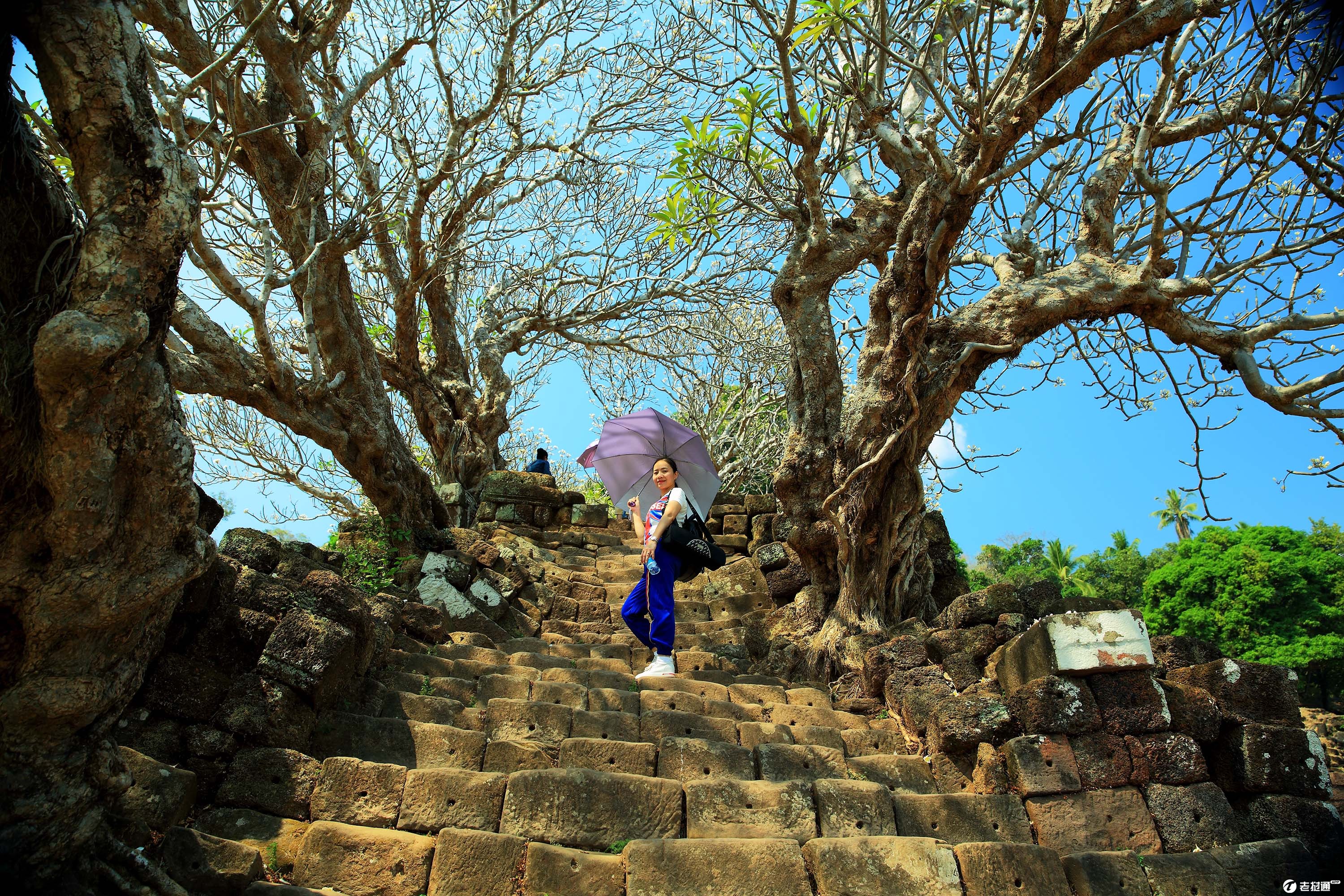 瓦普寺