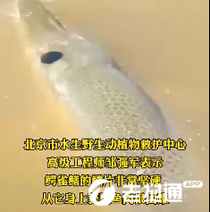 微信图片_20220829173204.png